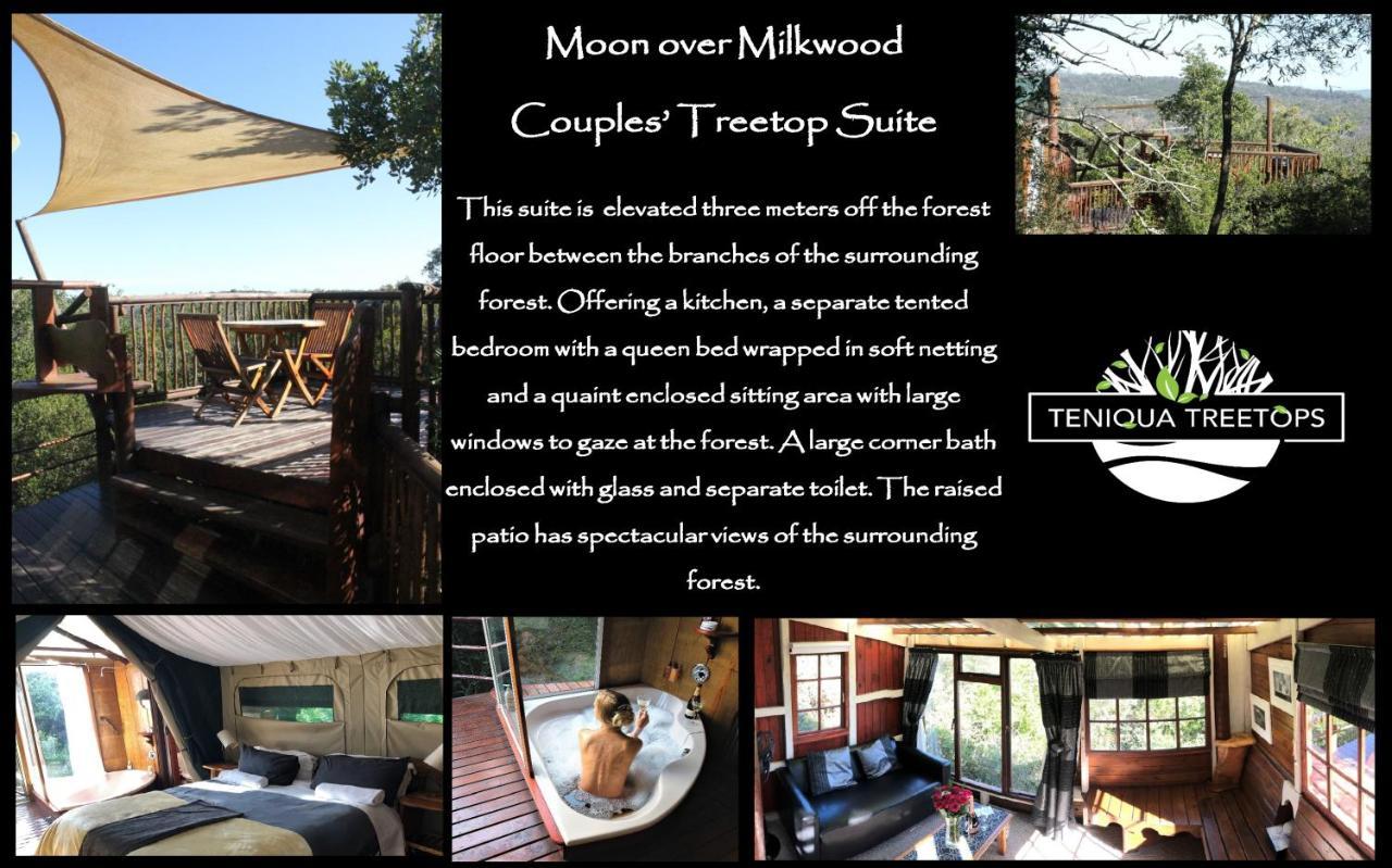 Teniqua Treetops Karatara Settlement Exterior photo