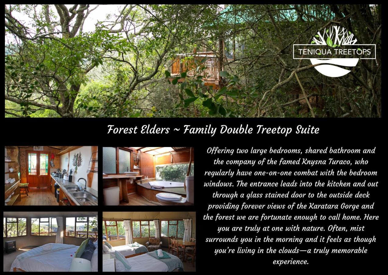 Teniqua Treetops Karatara Settlement Exterior photo