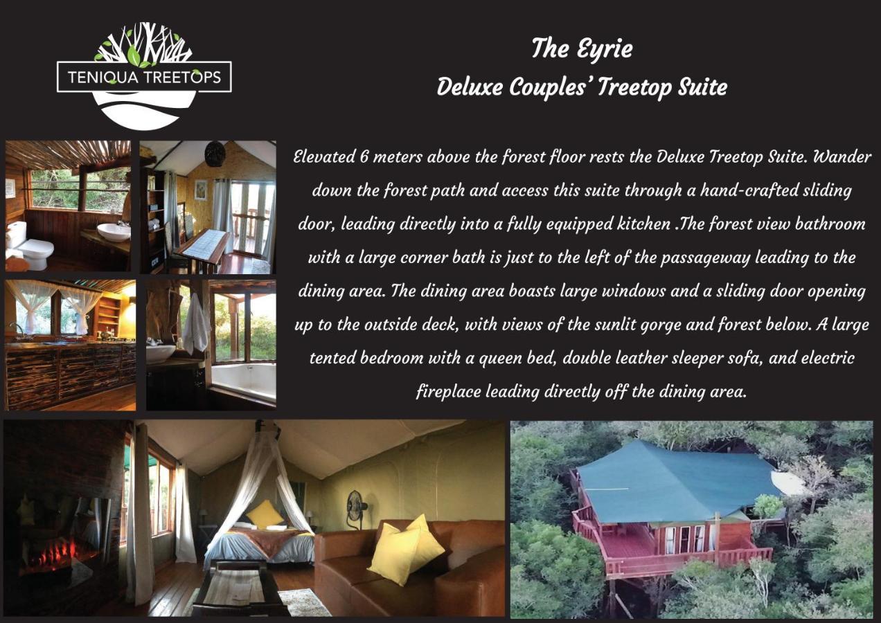 Teniqua Treetops Karatara Settlement Exterior photo