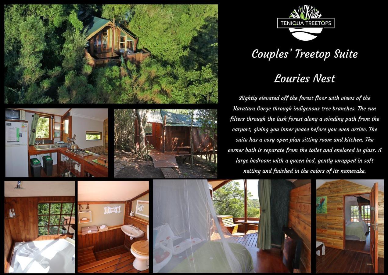 Teniqua Treetops Karatara Settlement Exterior photo