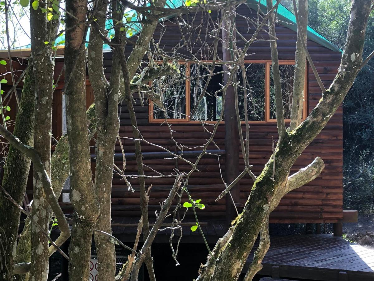 Teniqua Treetops Karatara Settlement Exterior photo