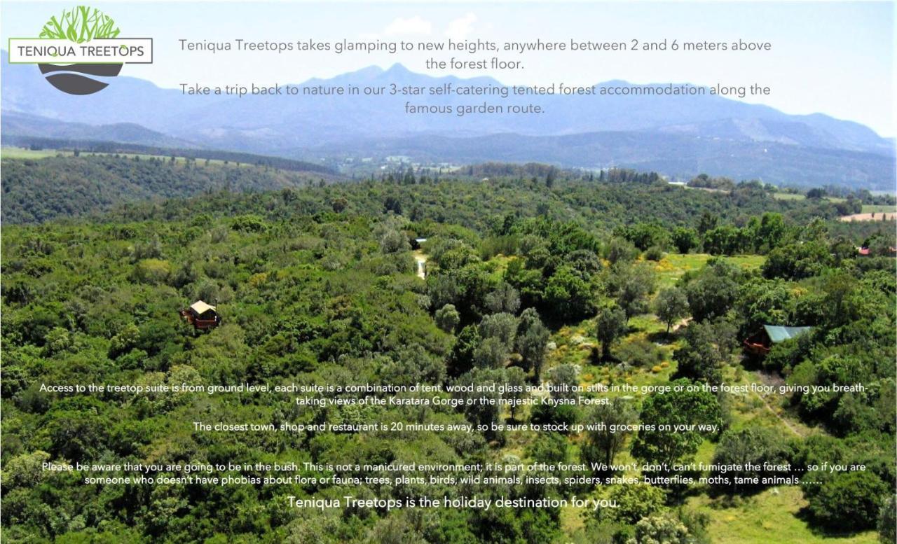 Teniqua Treetops Karatara Settlement Exterior photo