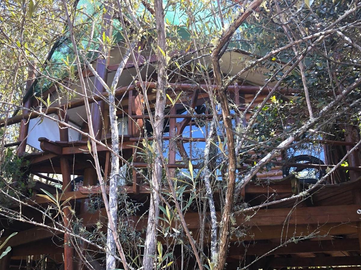 Teniqua Treetops Karatara Settlement Exterior photo