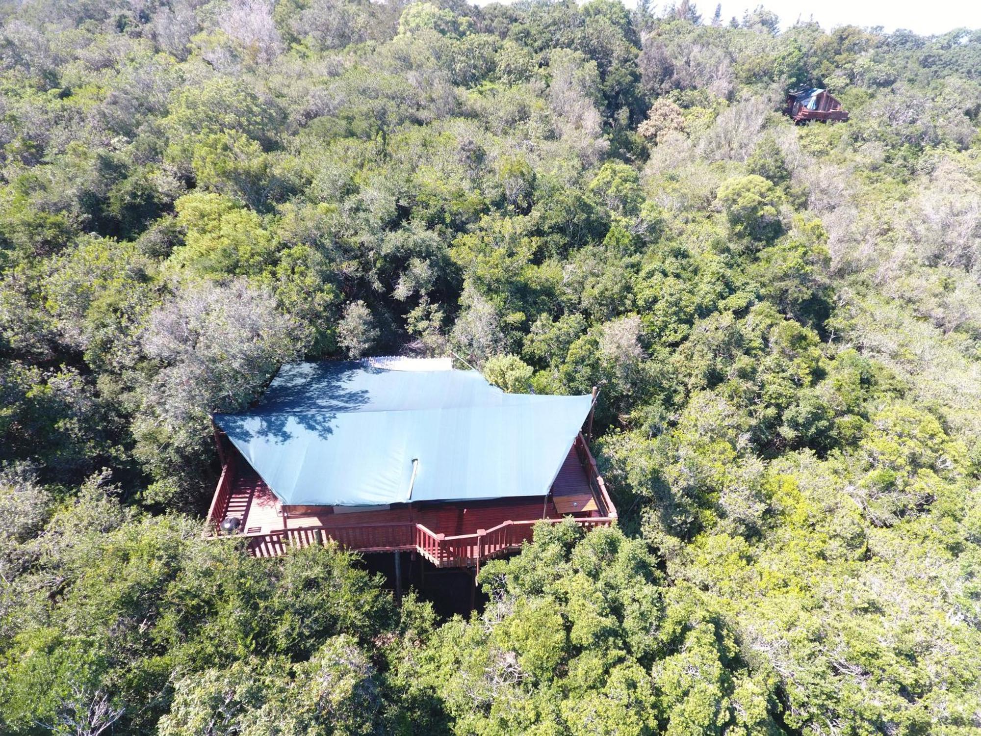 Teniqua Treetops Karatara Settlement Exterior photo