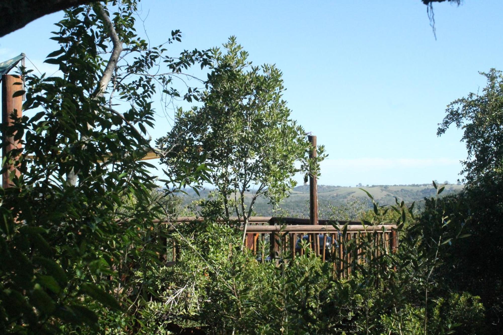 Teniqua Treetops Karatara Settlement Exterior photo