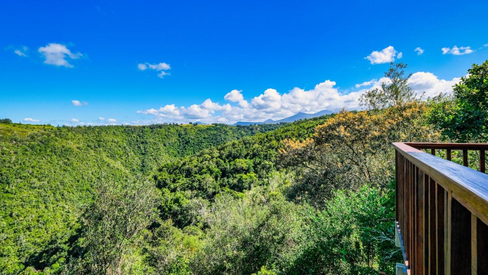 Teniqua Treetops Karatara Settlement Exterior photo