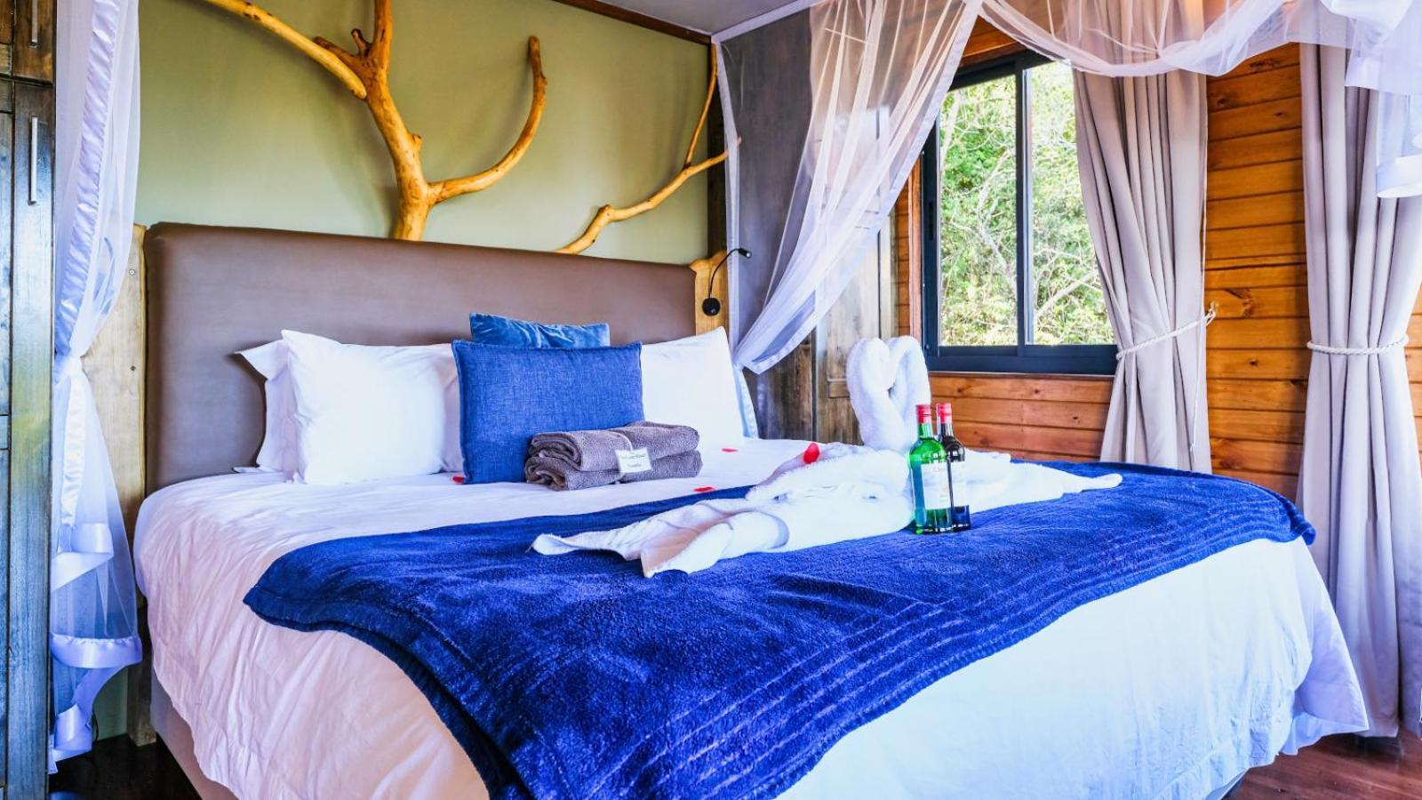 Teniqua Treetops Karatara Settlement Room photo