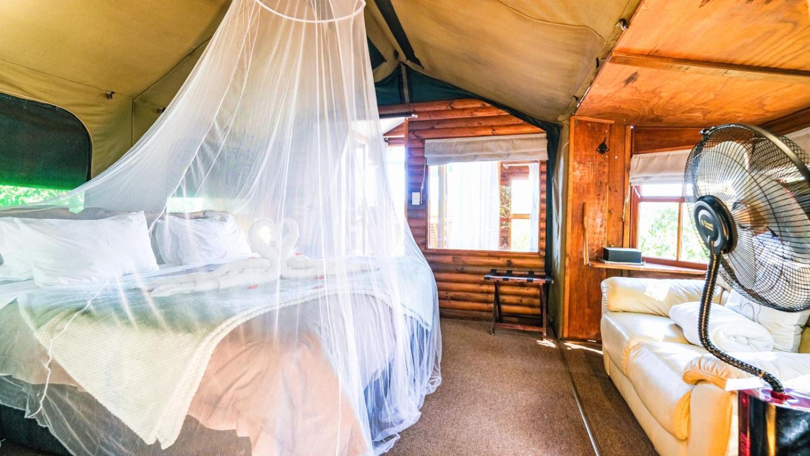 Teniqua Treetops Karatara Settlement Room photo