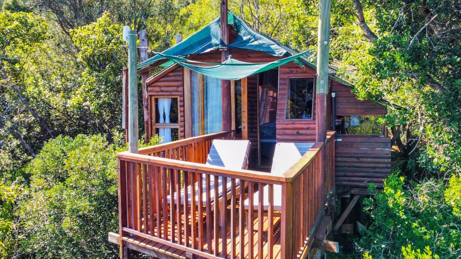 Teniqua Treetops Karatara Settlement Room photo