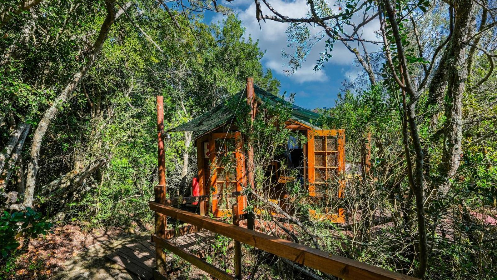 Teniqua Treetops Karatara Settlement Room photo