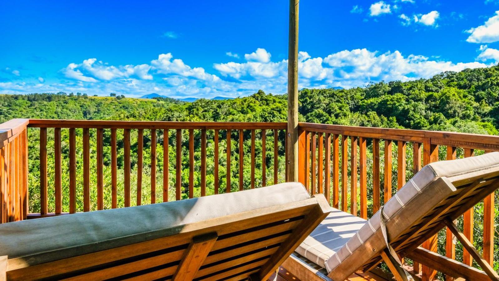 Teniqua Treetops Karatara Settlement Room photo